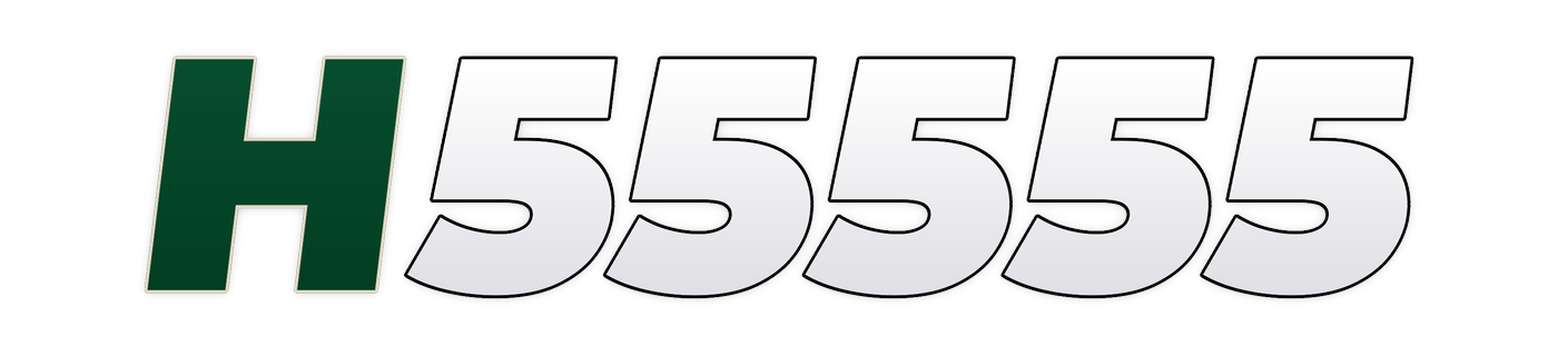 h55555